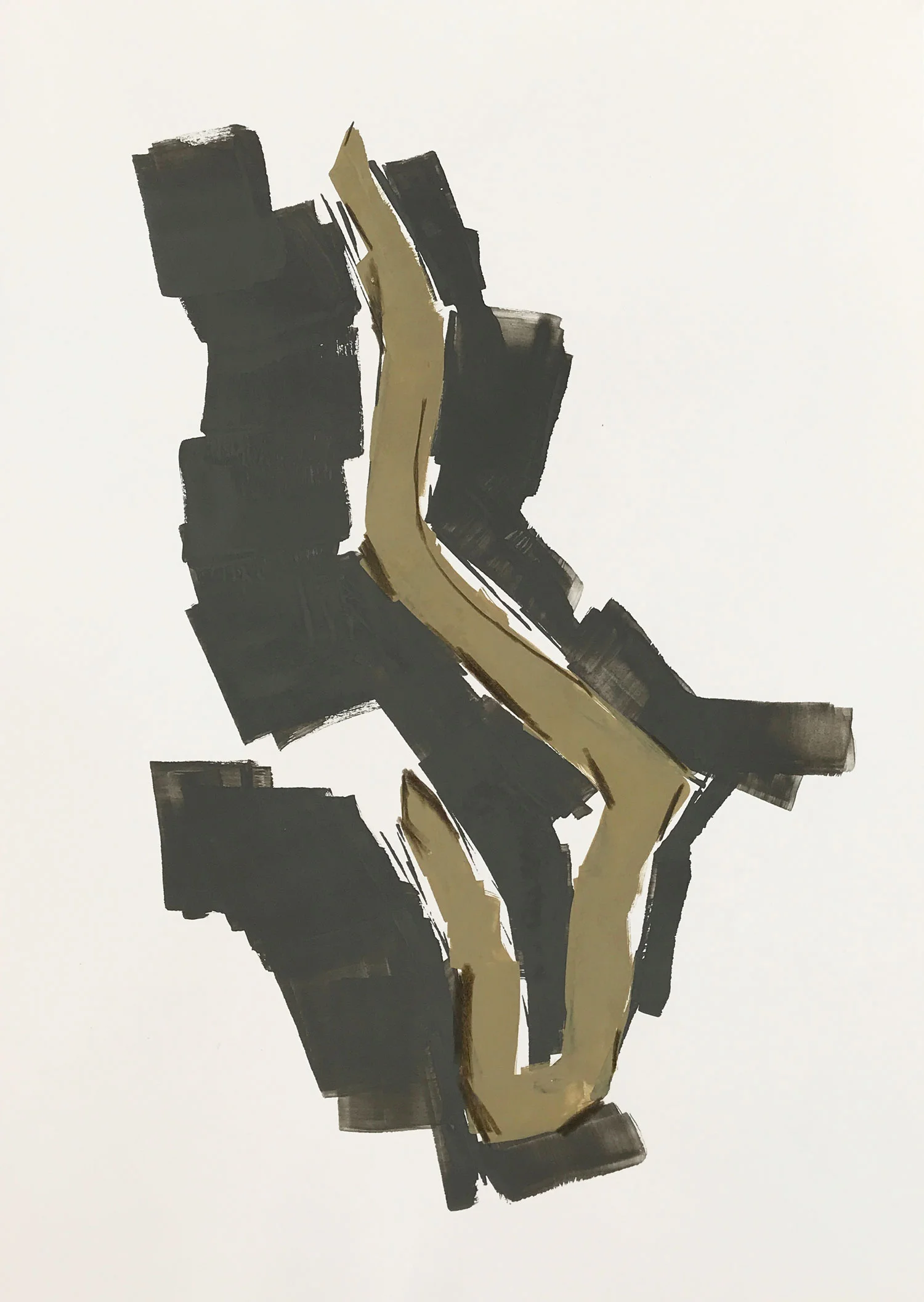 A Twig, Not A Snake, On The Path