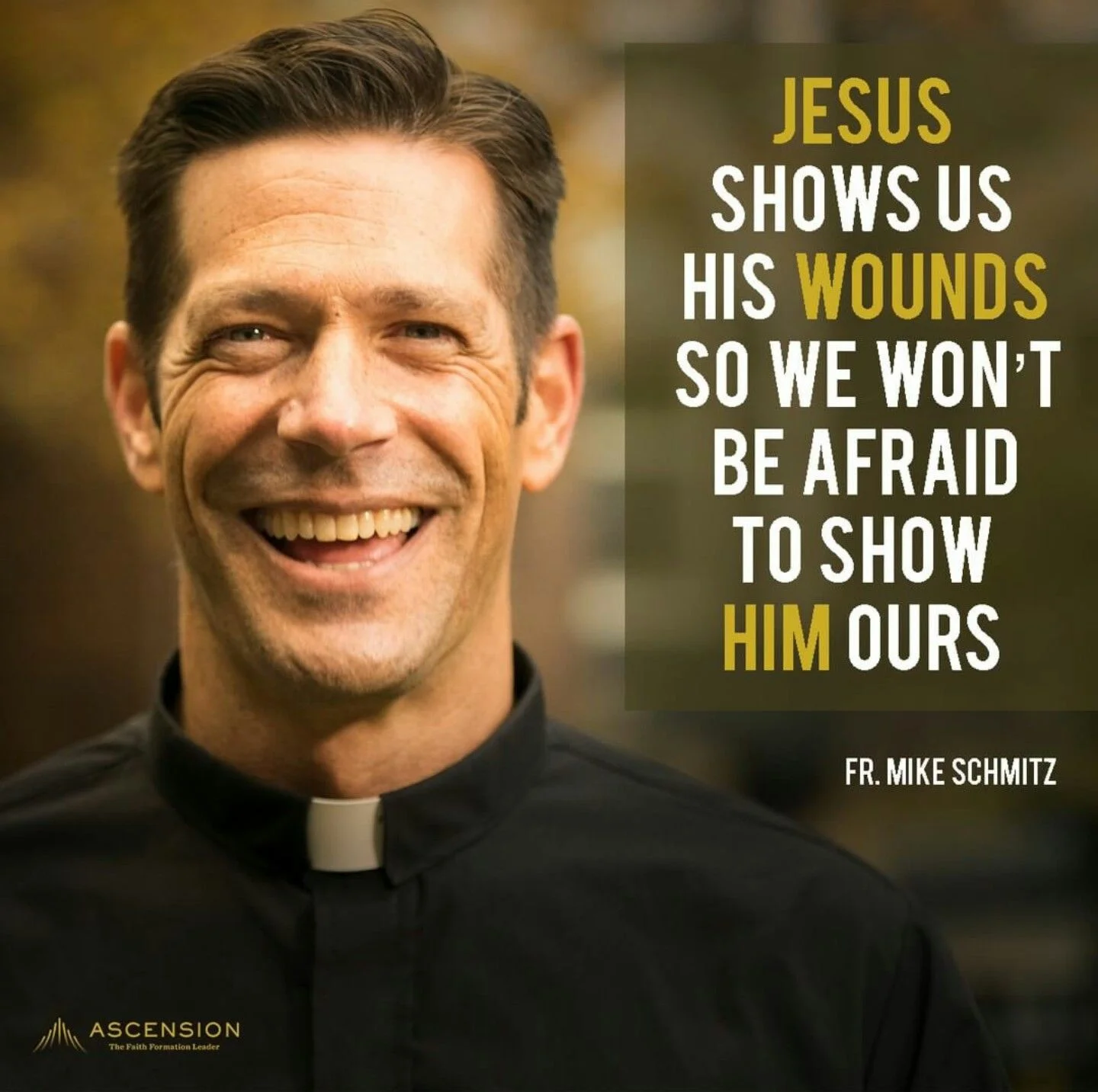 Fr. Mike Schmitz YoutTube Videos