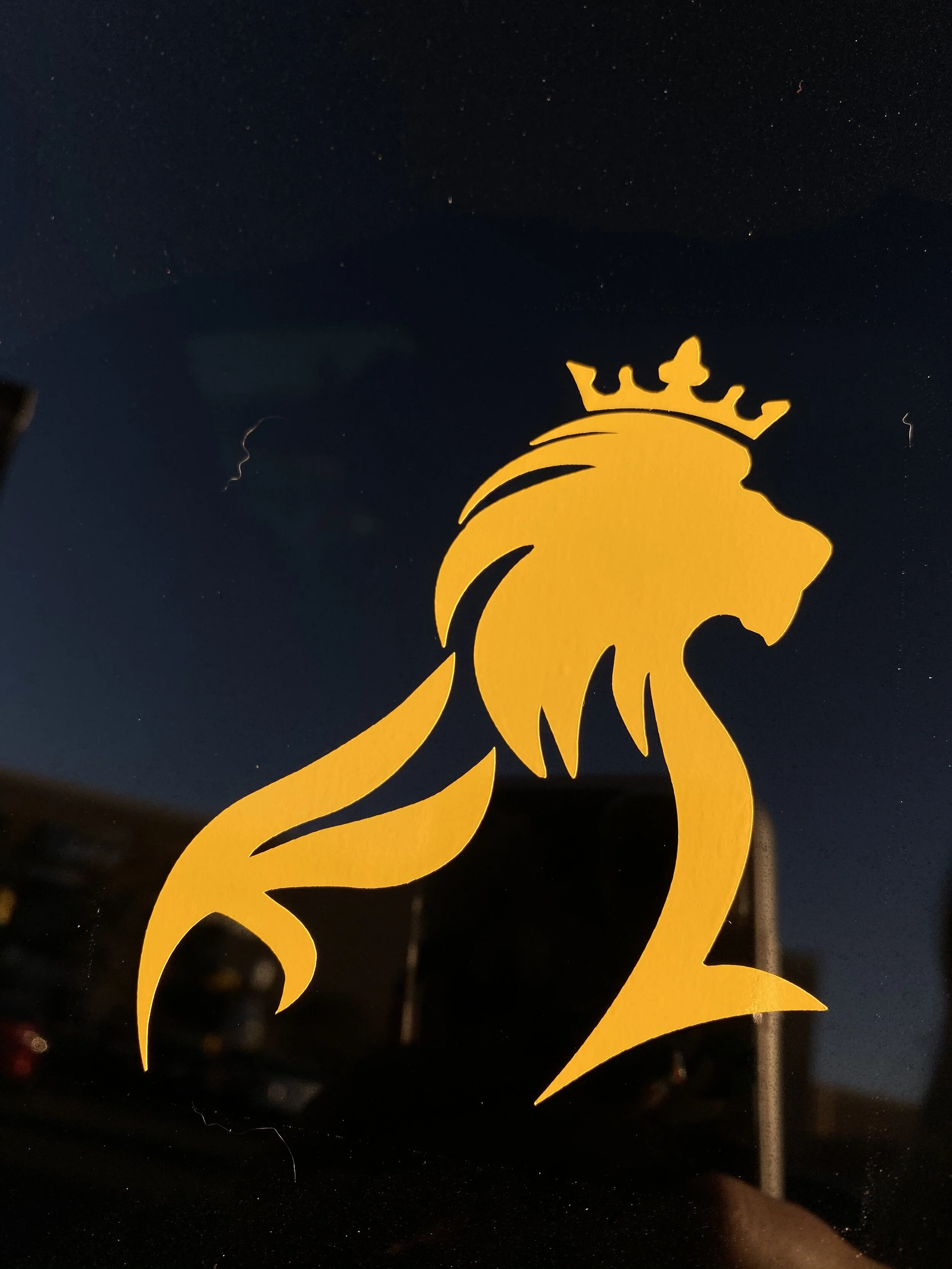 C38BE210-FB66-4317-9DD2-0F5F65782AD2