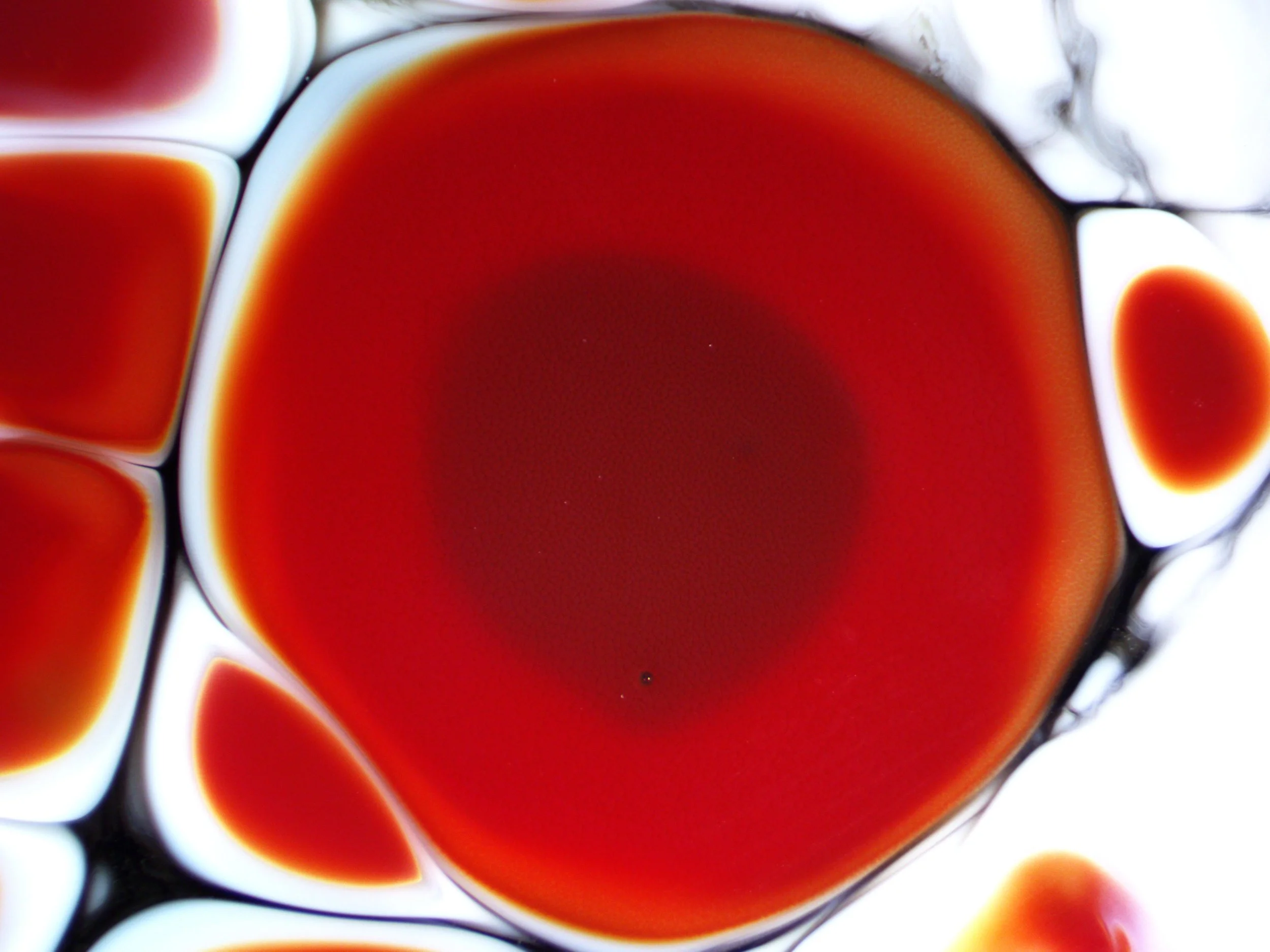 red circle 39x31.jpg