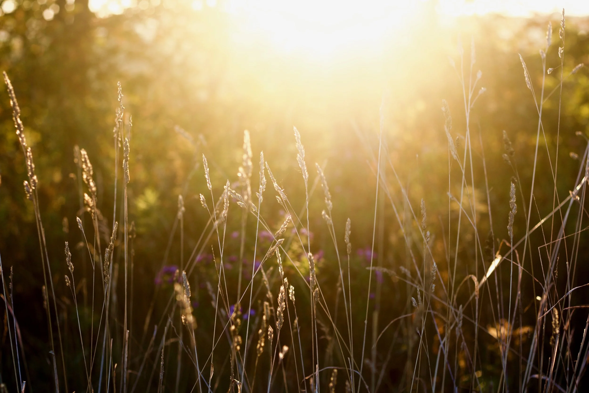 Lady Talk: Menstrual Health