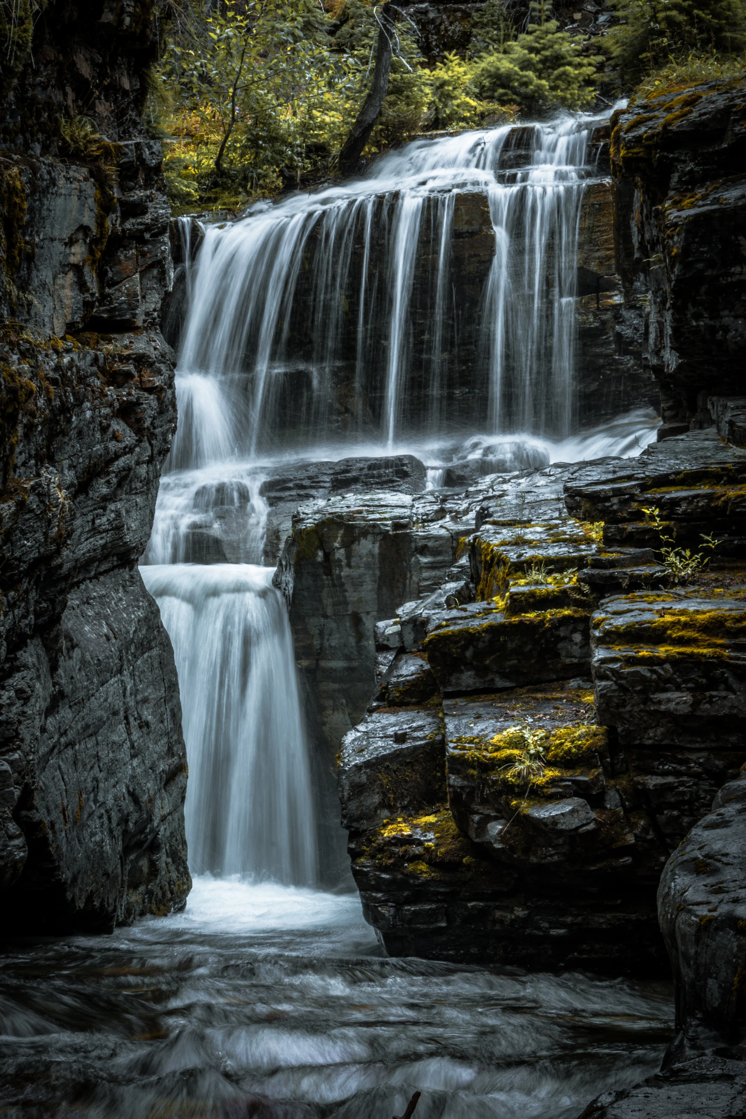 DSC_7664.jpg