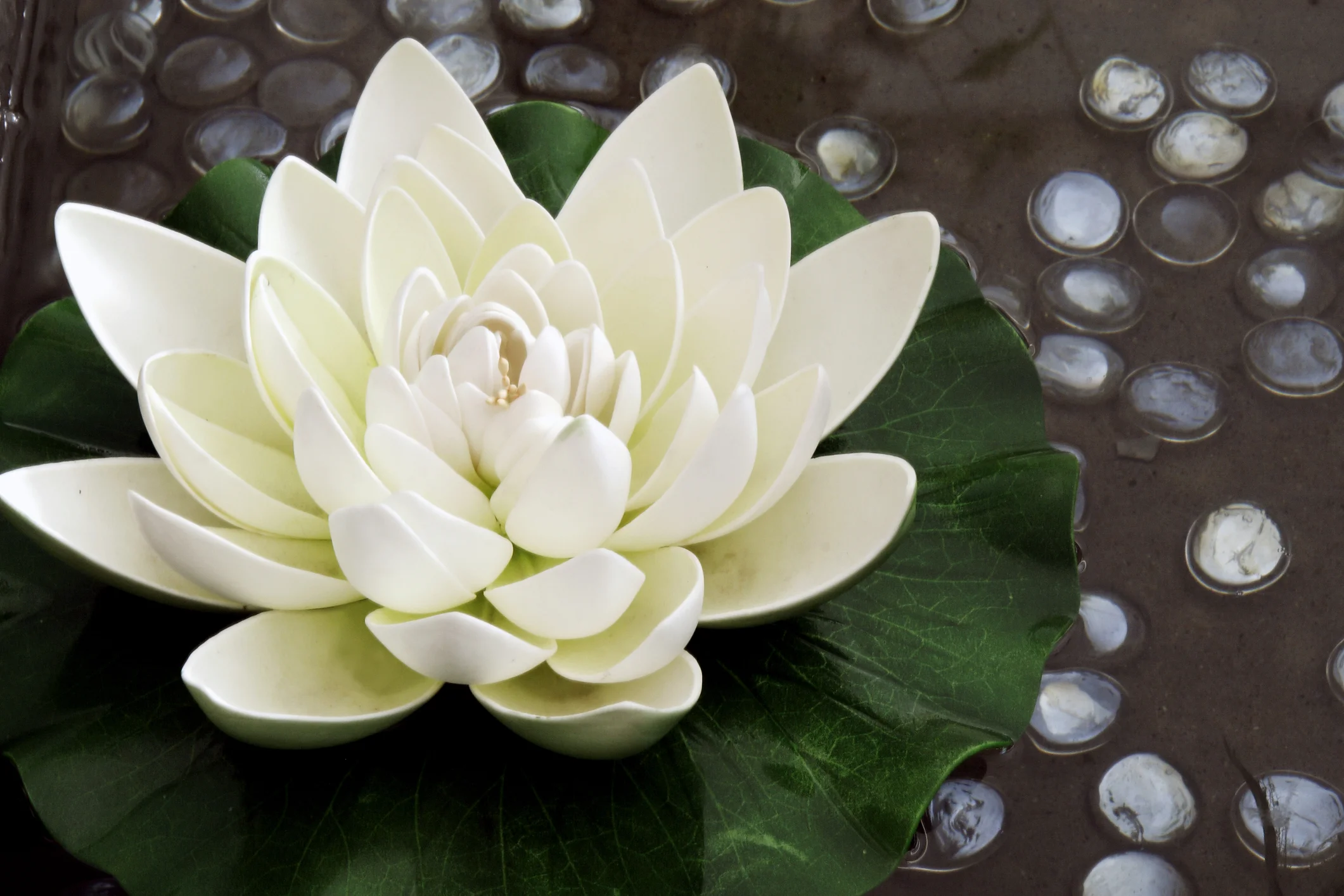 the-artificial-lotus-flower-4544434.jpg
