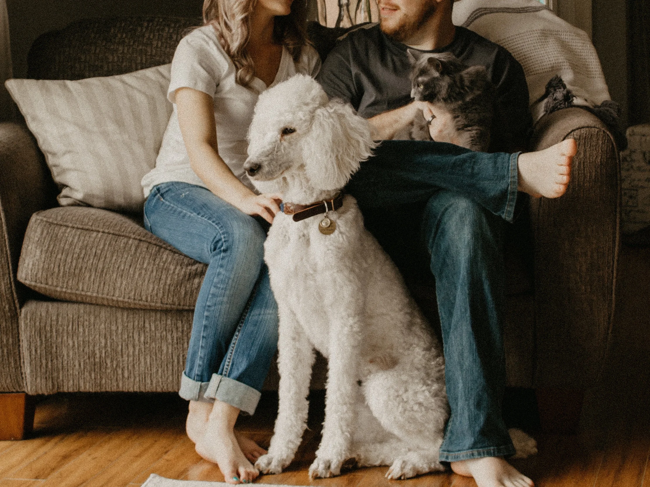 Estate Planning for Pet Owners