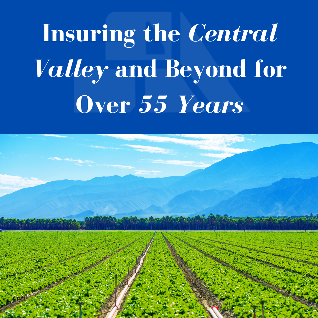 About Us — SALMERI INSURANCE