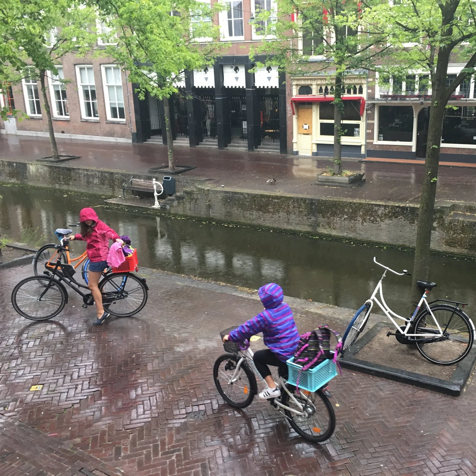 netherlands+2+%281%29.jpg