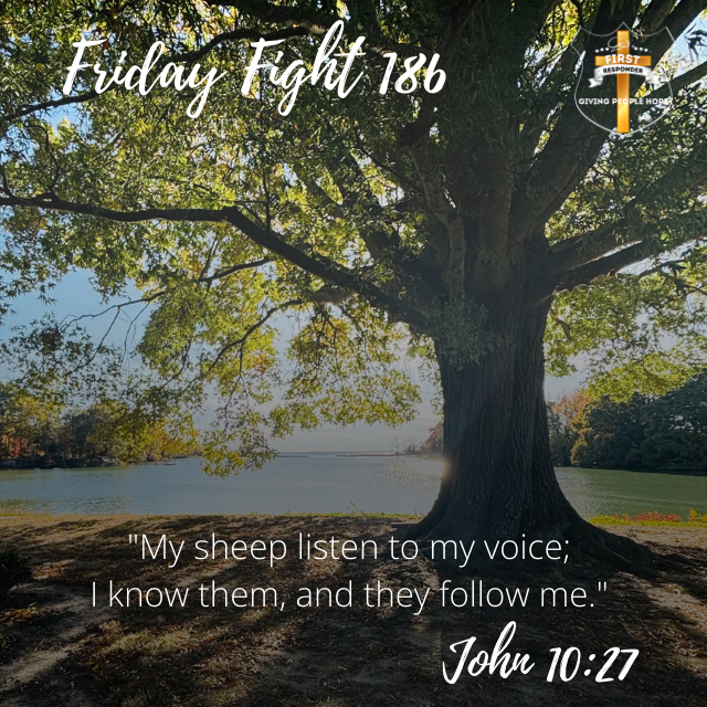 Friday Fight 186: Are We Listening?