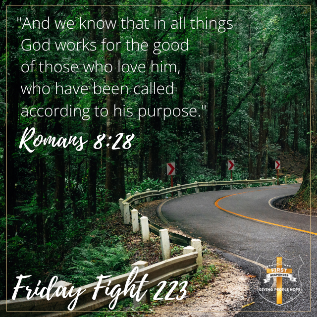 Friday Fight 223: From Mold to Ministry: