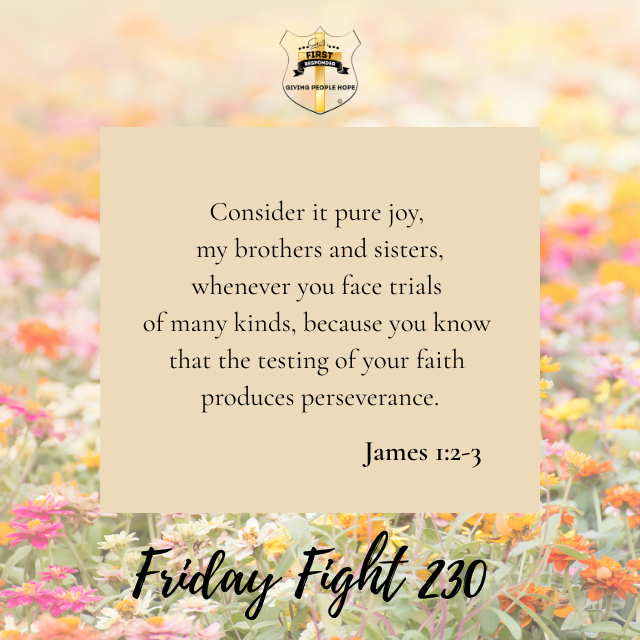 Friday Fight 230: Our Spiritual Protective Gear