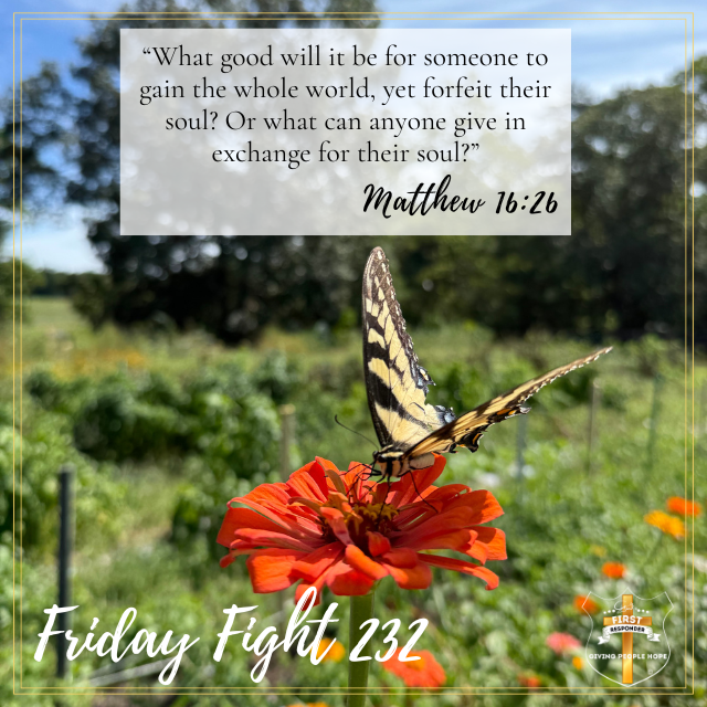 Friday Fight 232: When Good Plans Miss God