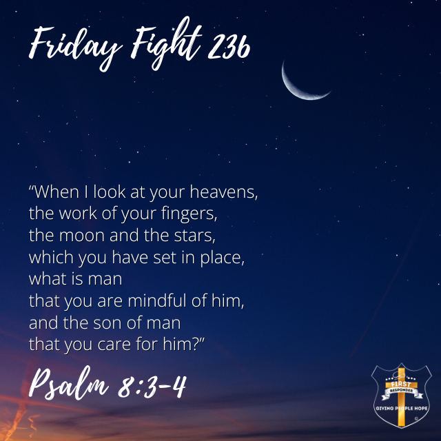 Friday Fight 236: Stillness in the Sanctuary of Creation