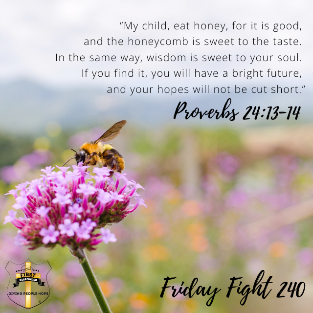 Friday Fight 240: Sweet Wisdom - Tasting the Honey of the Holy Spirit