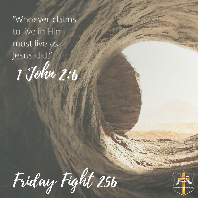 Friday Fight 256: Balance Begins with Abiding