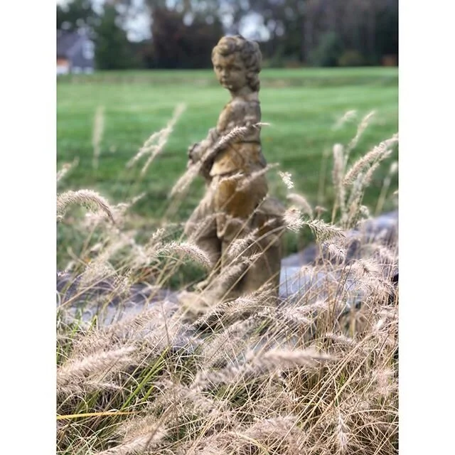 Current feeling in 28 degree weather today...thankful the sun is out ☀️ at least until 4:24pm 😐
#freezing 
#newenglandliving #floraldesign
#allegoryofthefourseasons