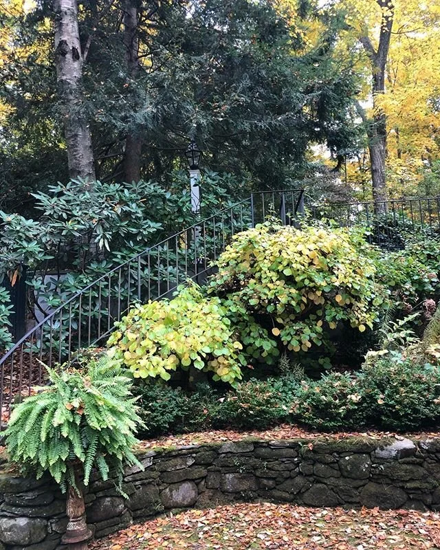 24 shades of green