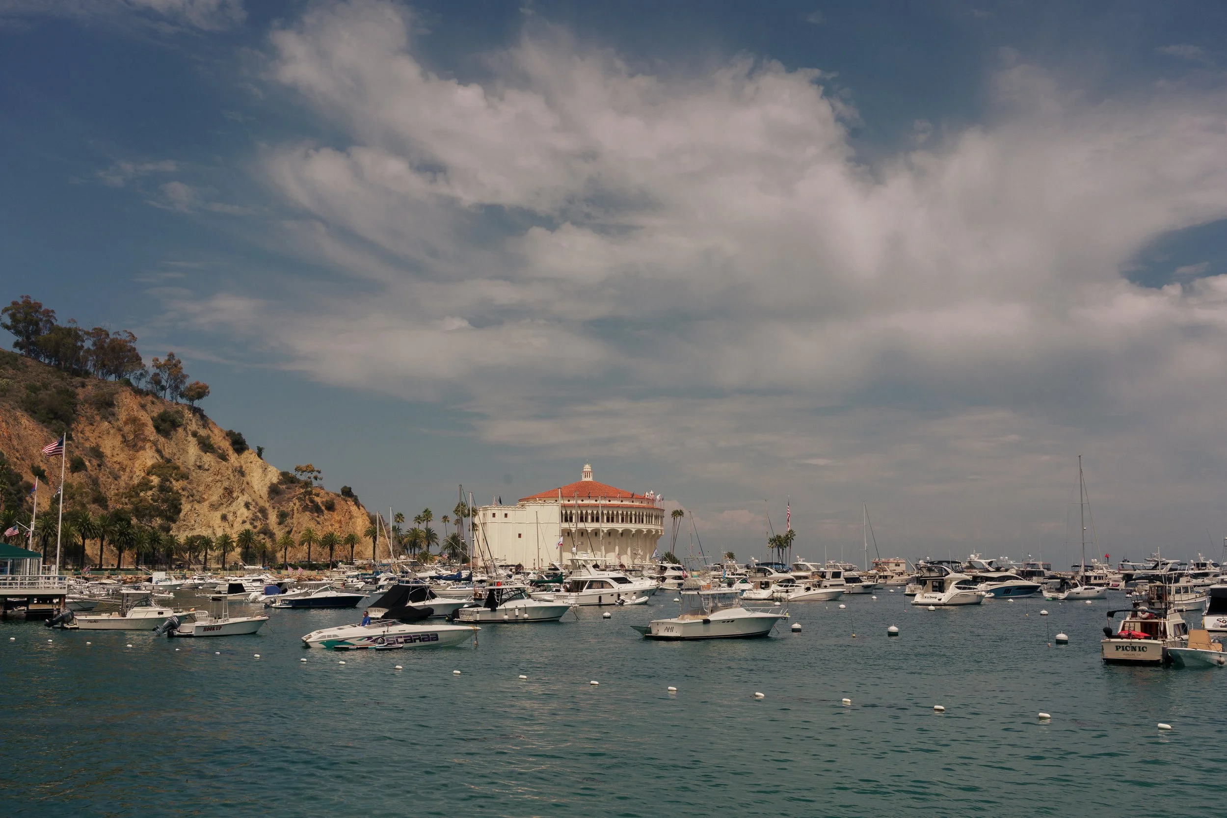 DSC09724.jpg