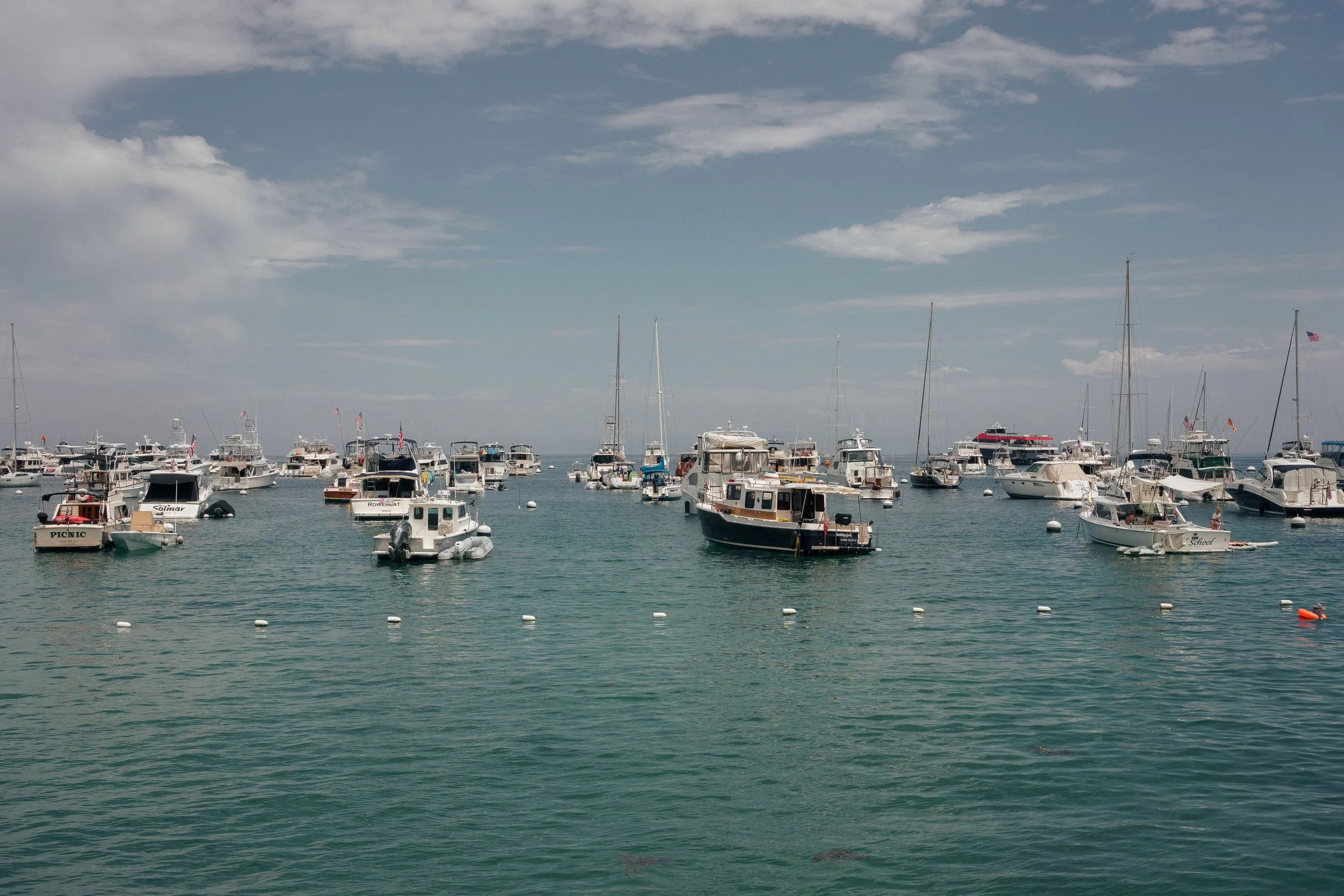 DSC09723.jpg