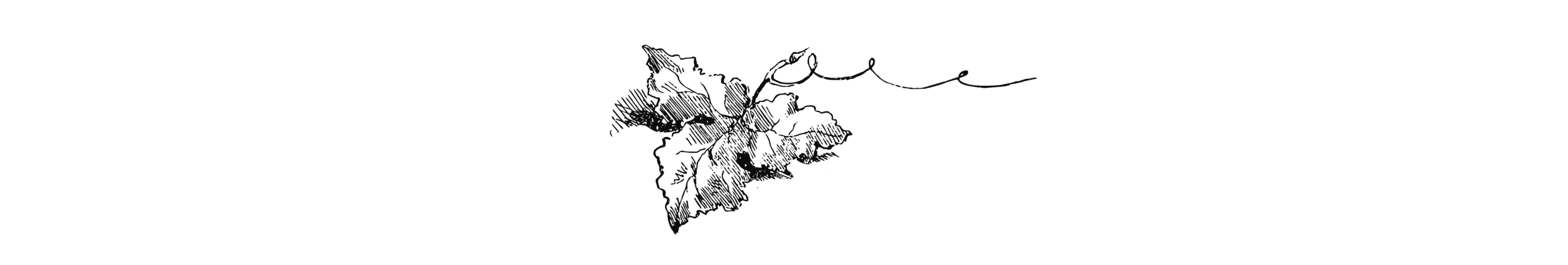Feuille_Ad Size.png