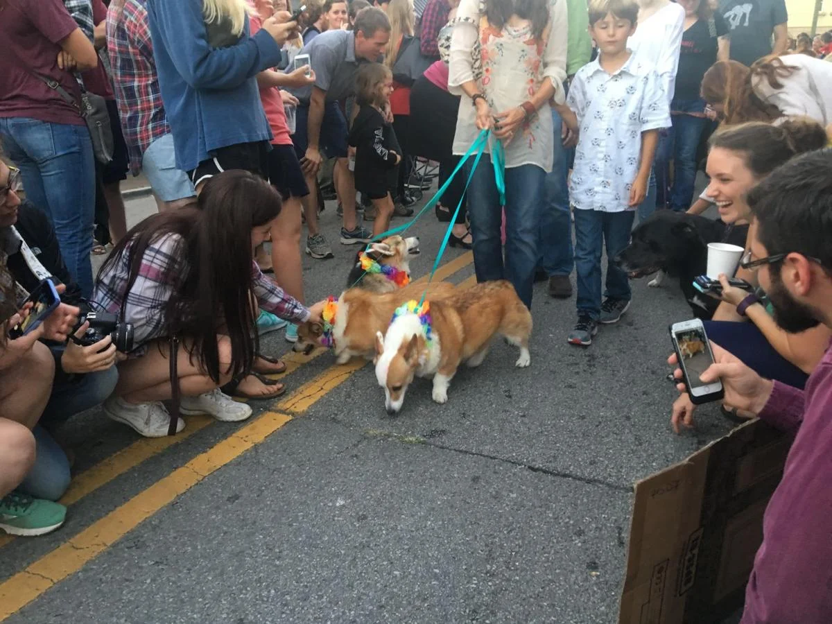 59d664c196d3e.image.jpg