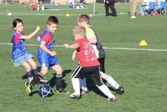 Lee's 4v4 Youth Soccer League