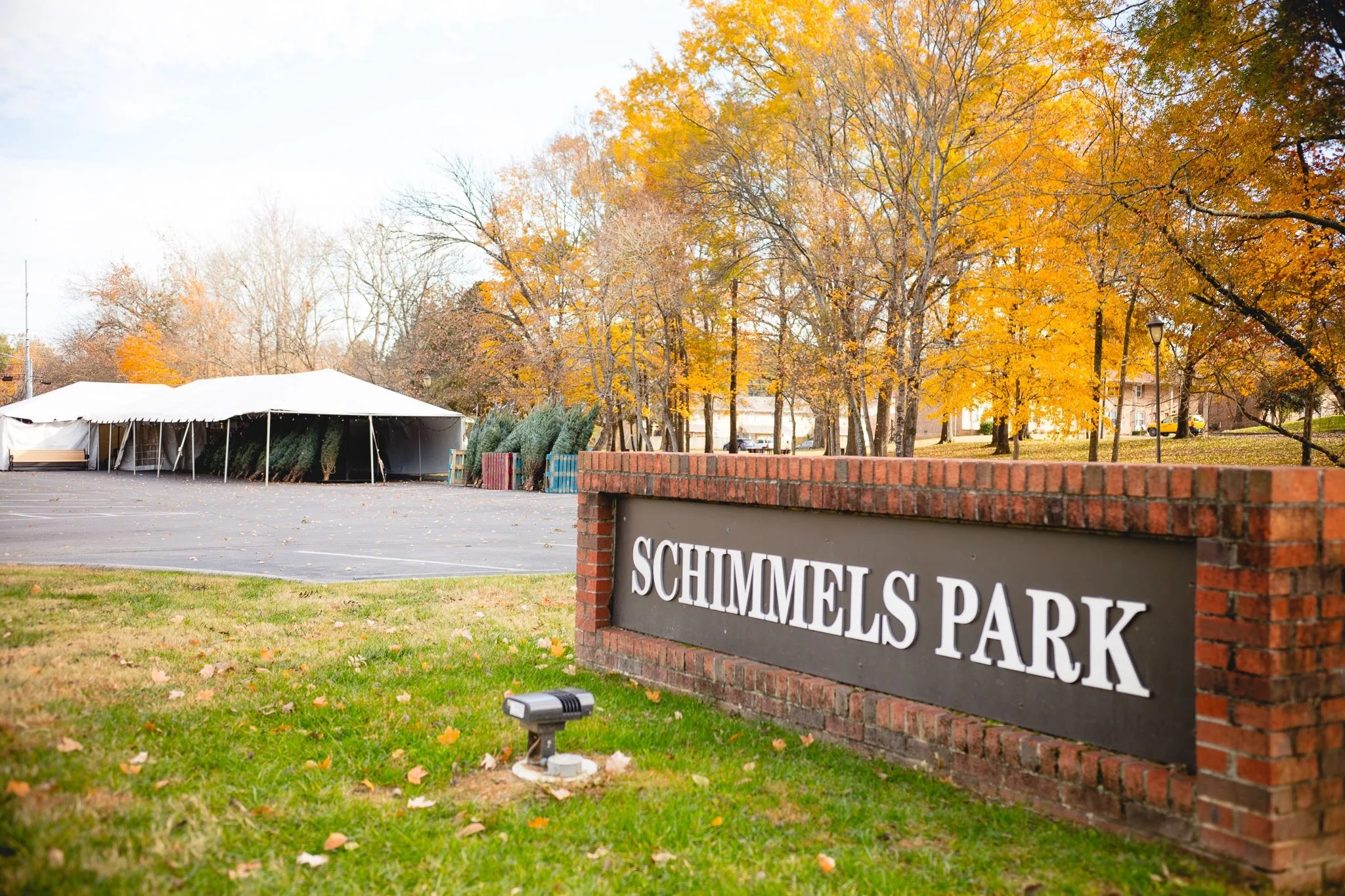 Christmas tree sale aims to ‘Change A Life.’