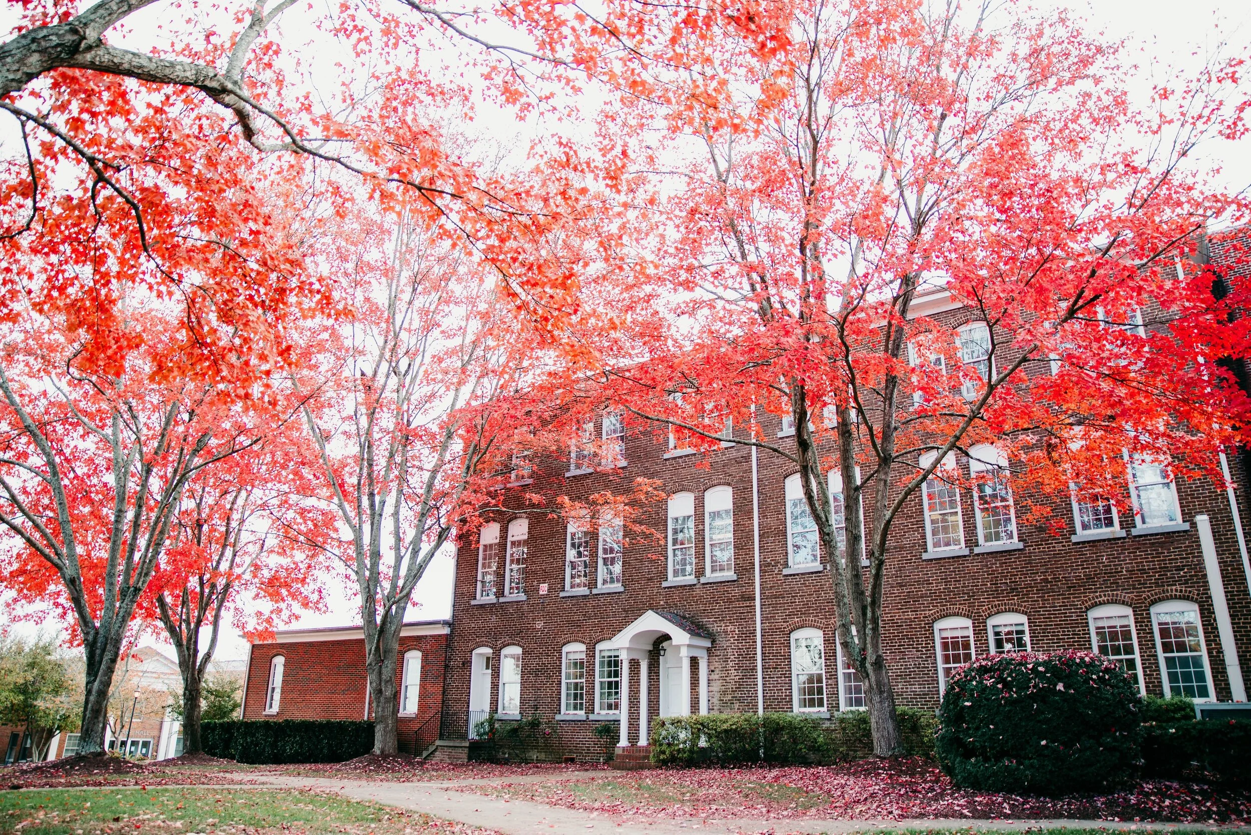 Lee moves classes online until March 30, cancels events due to COVID-19 threat