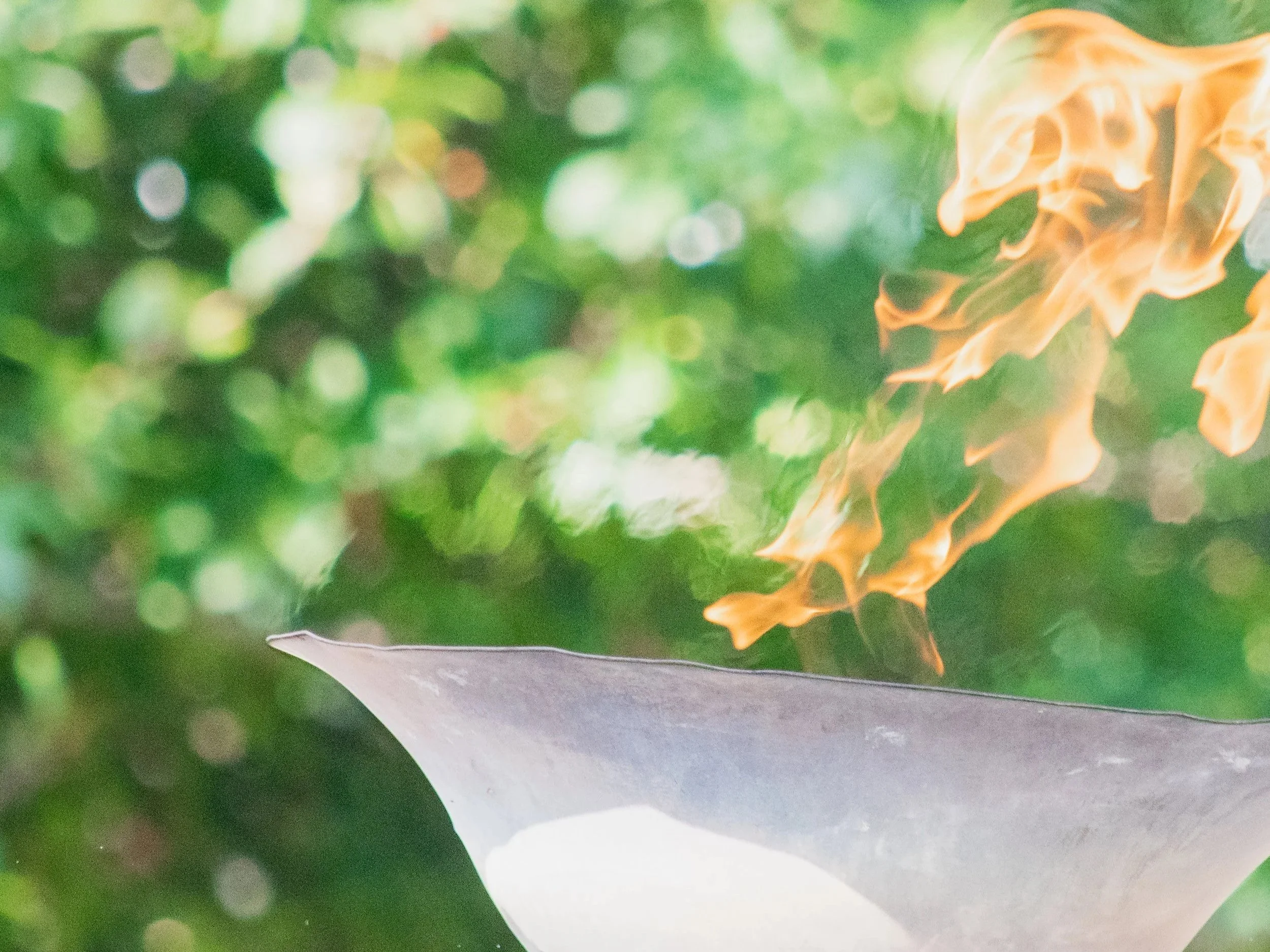 If Lee University majors were Disney characters