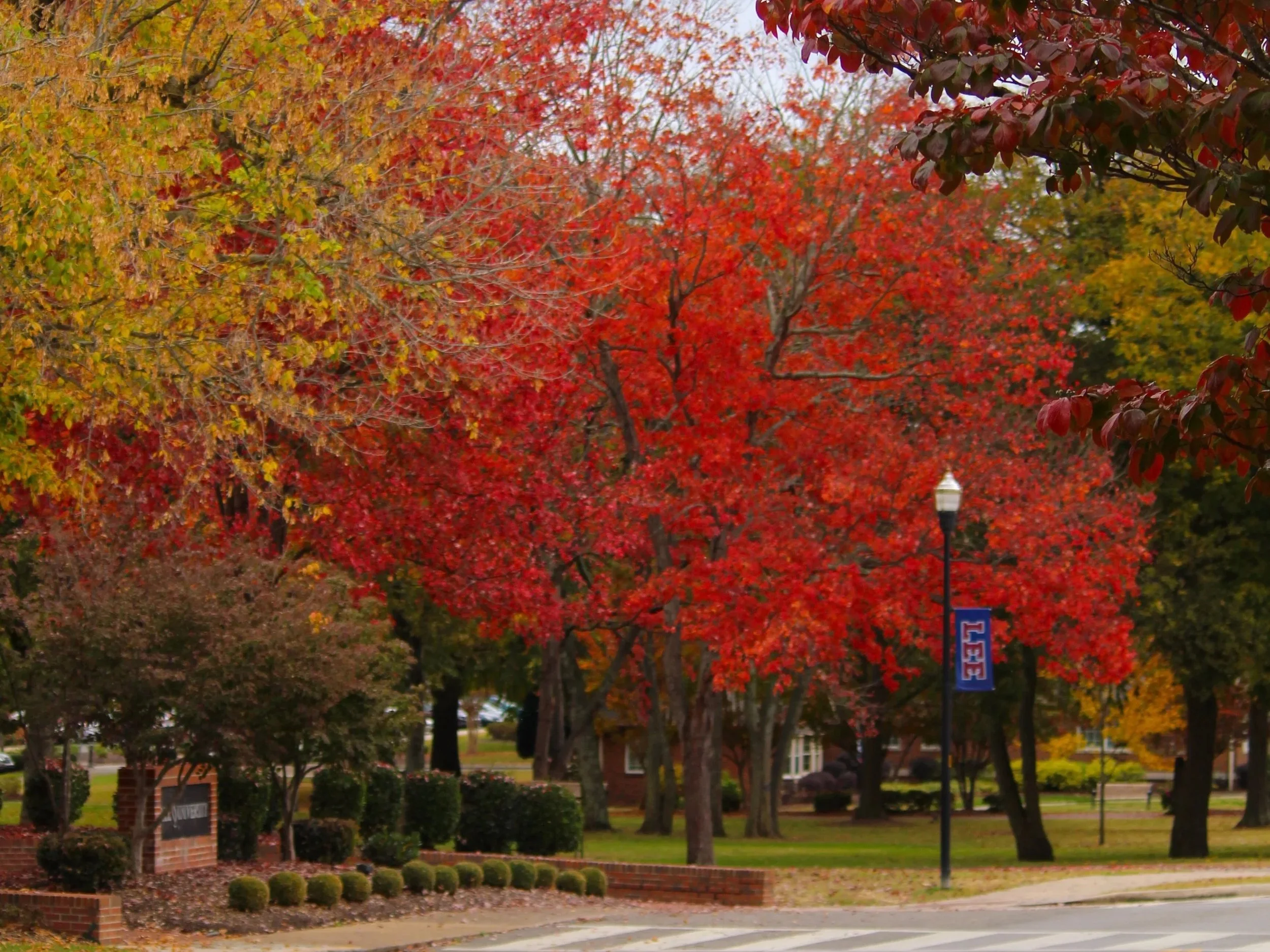 Thanksgiving on campus