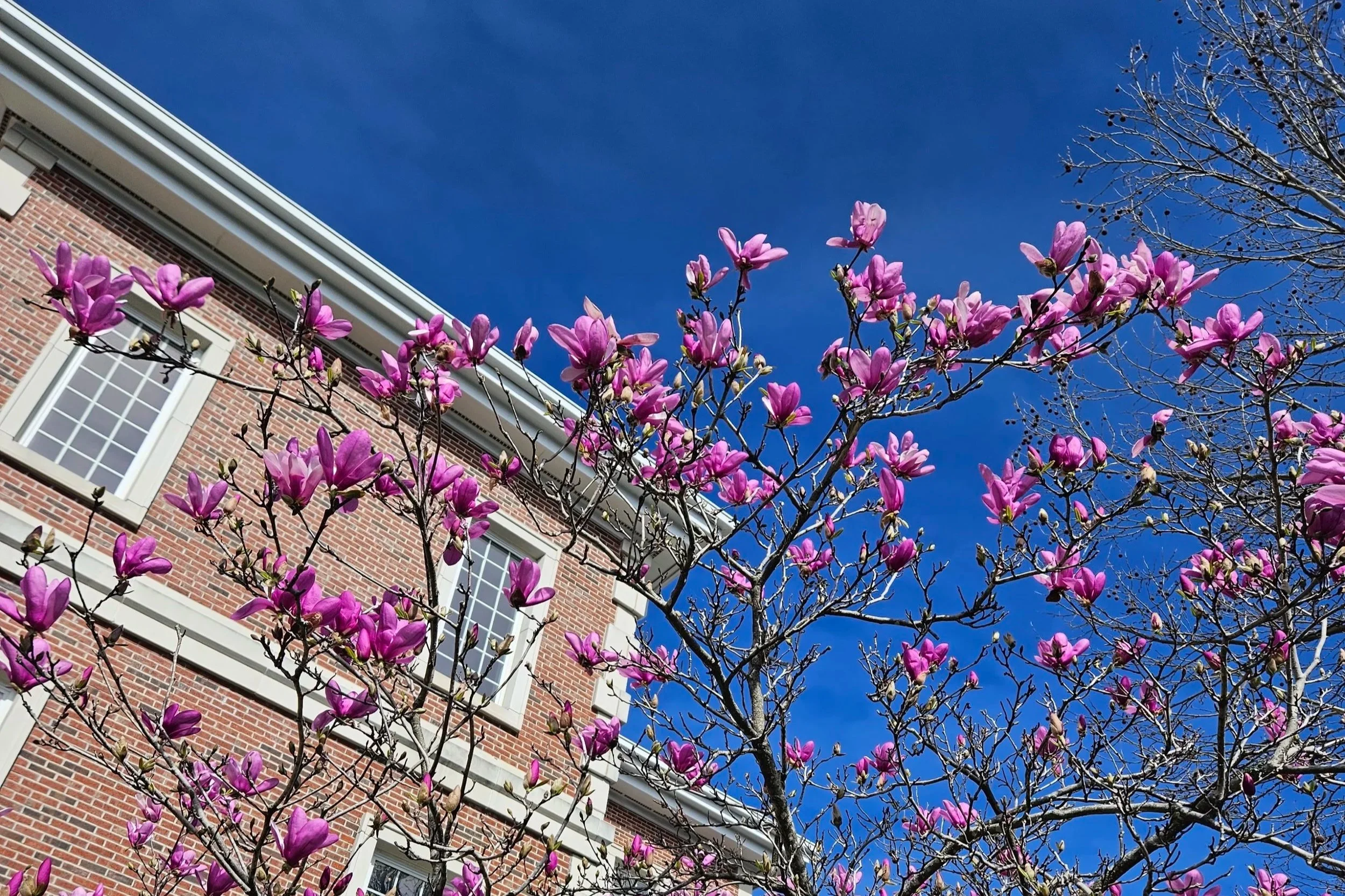 Spring semester bucket list