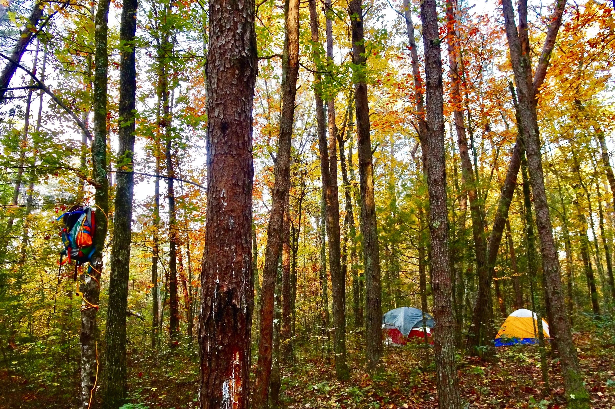 Autumn activities near Lee