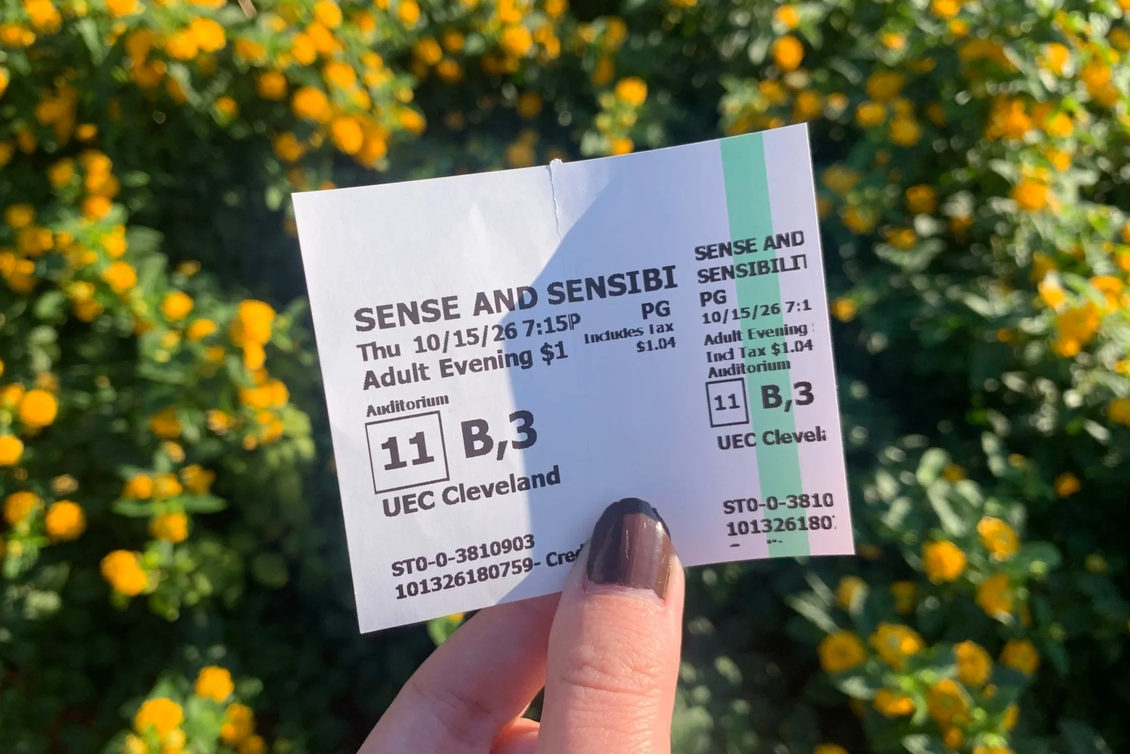 Review: Sense and Sensibility 2026: Come for the Regency aesthetic, stay for the drama