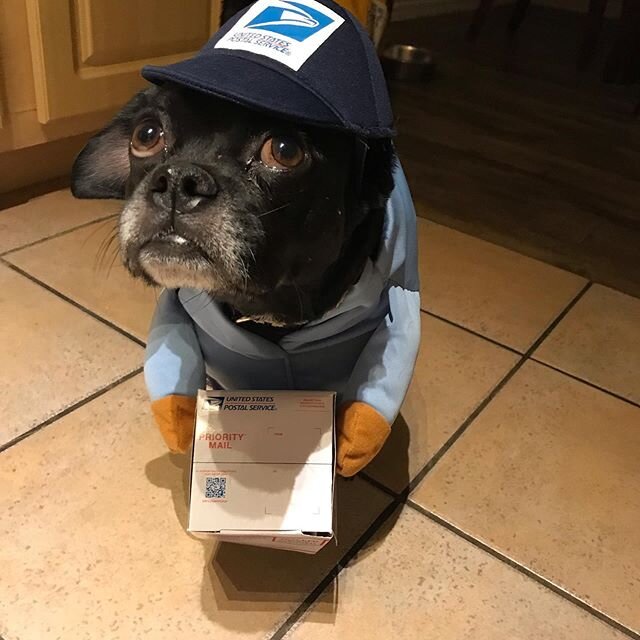 Throwback to that time @mollie_a_m and I threw a Posh N Sip and sweet Bugg let me dress him up as a mailman and bring him! 😂