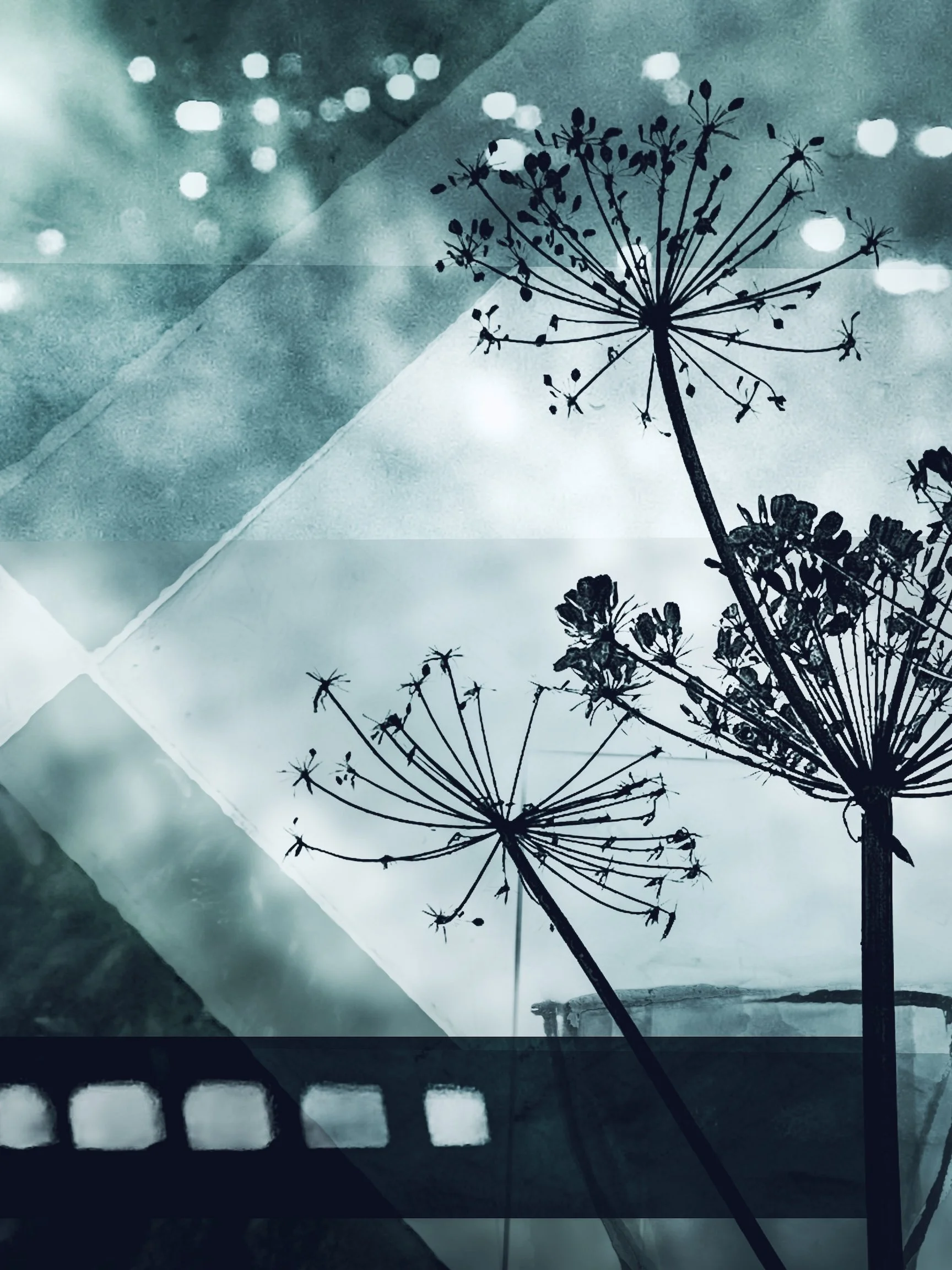 Spring Confetti small.jpeg