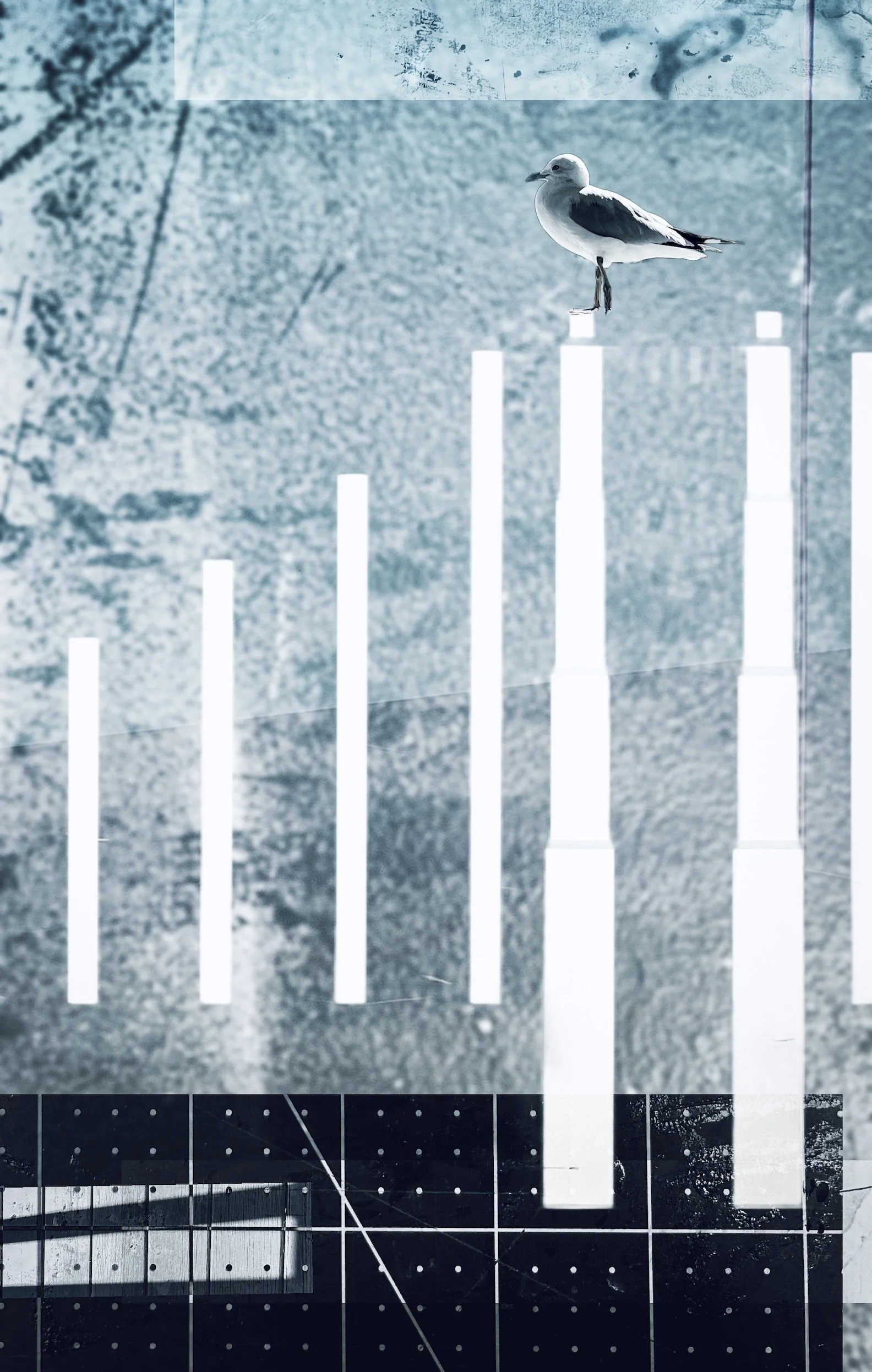 San Francisco small.jpeg