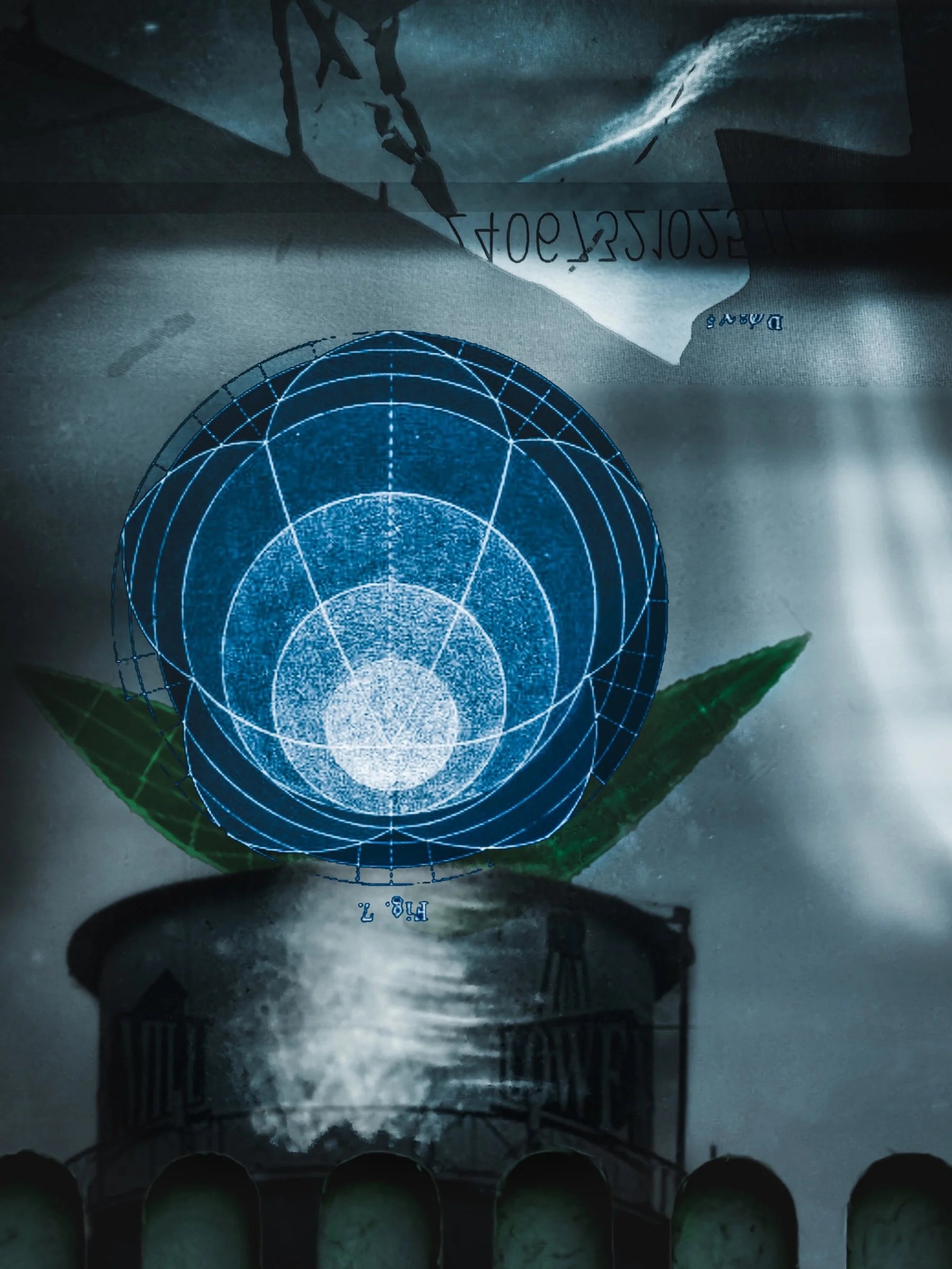 In the Cracks-46 small copy.jpeg