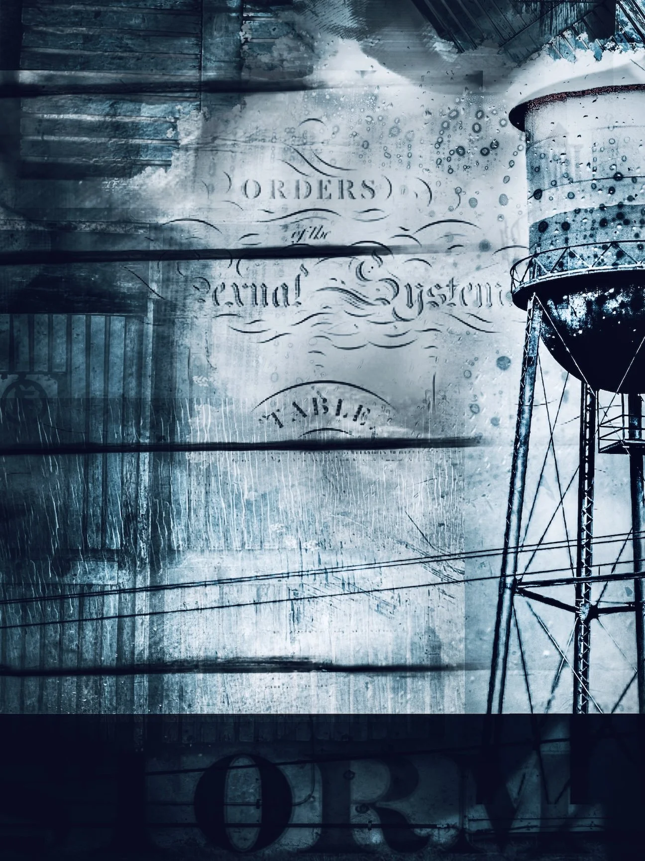 What Remains small.jpg