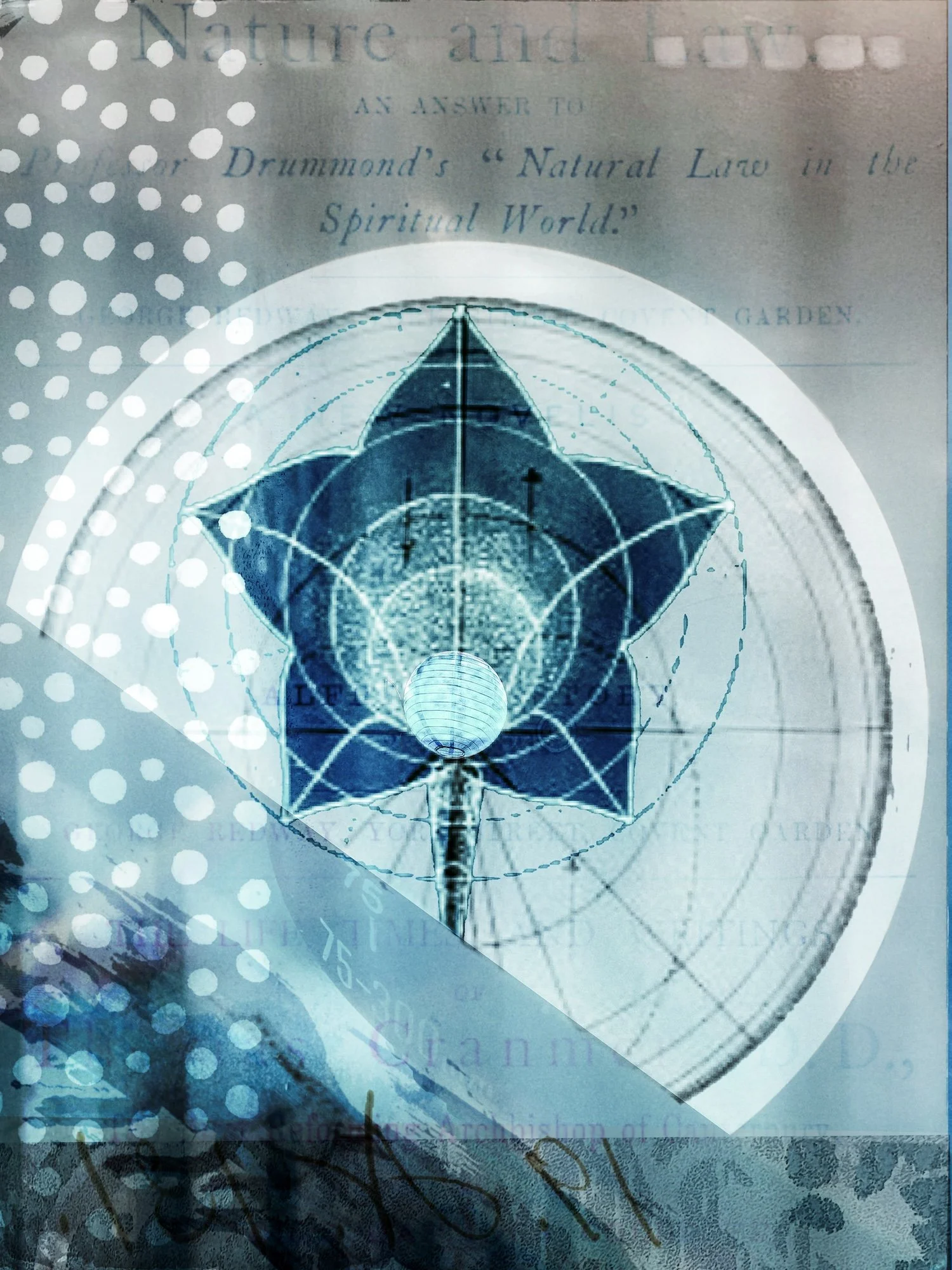 In the Cracks-15 small copy.jpeg