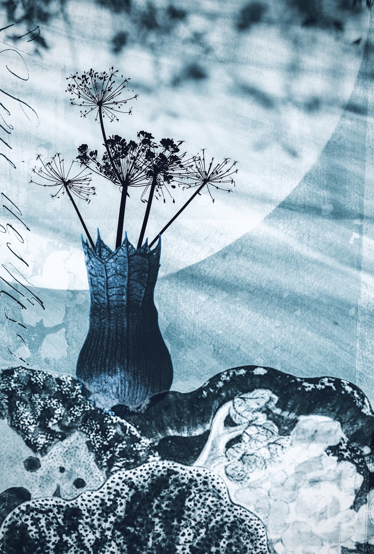 Minding My Own Business small.jpeg