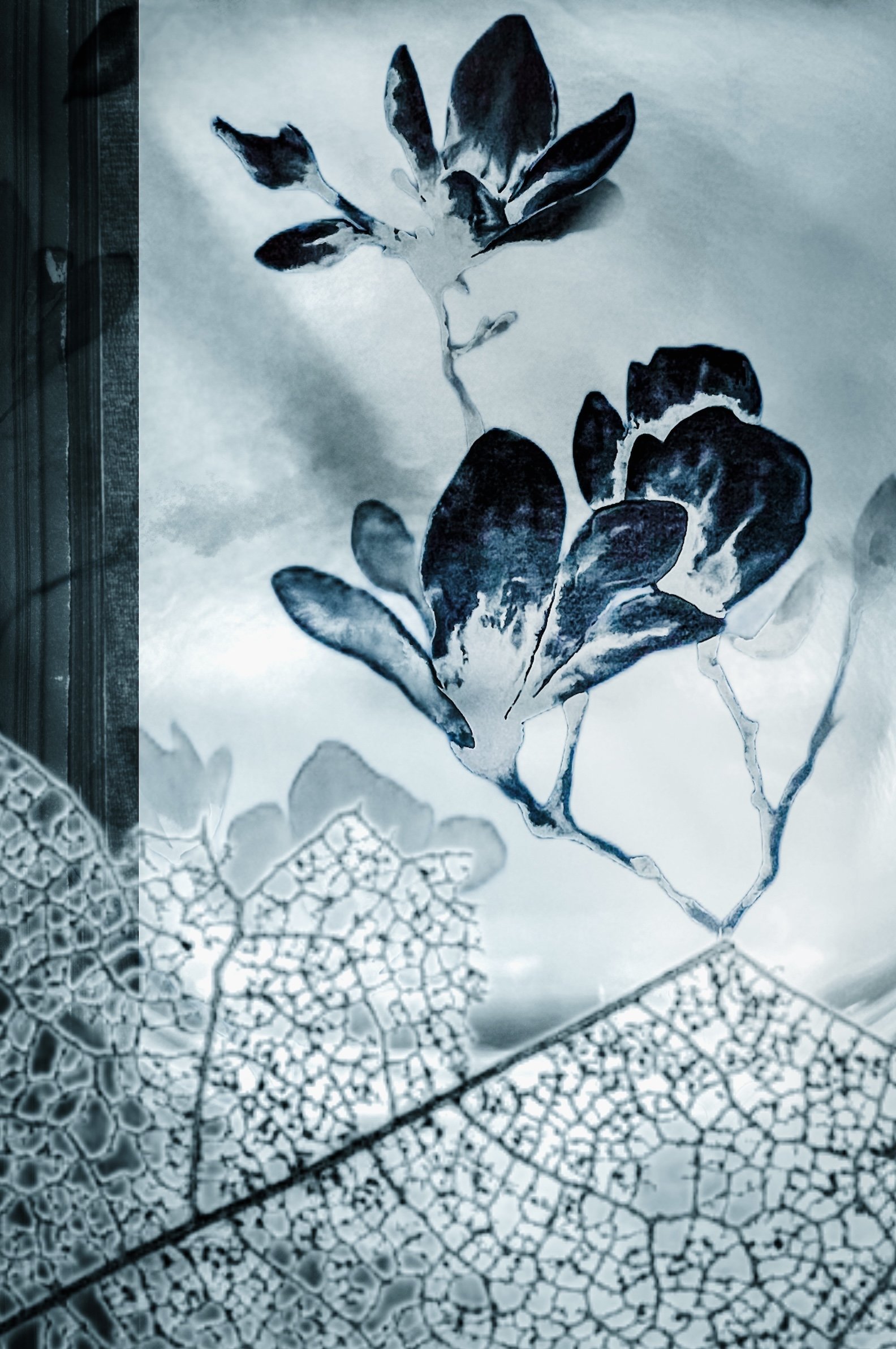 Overreach small.jpeg