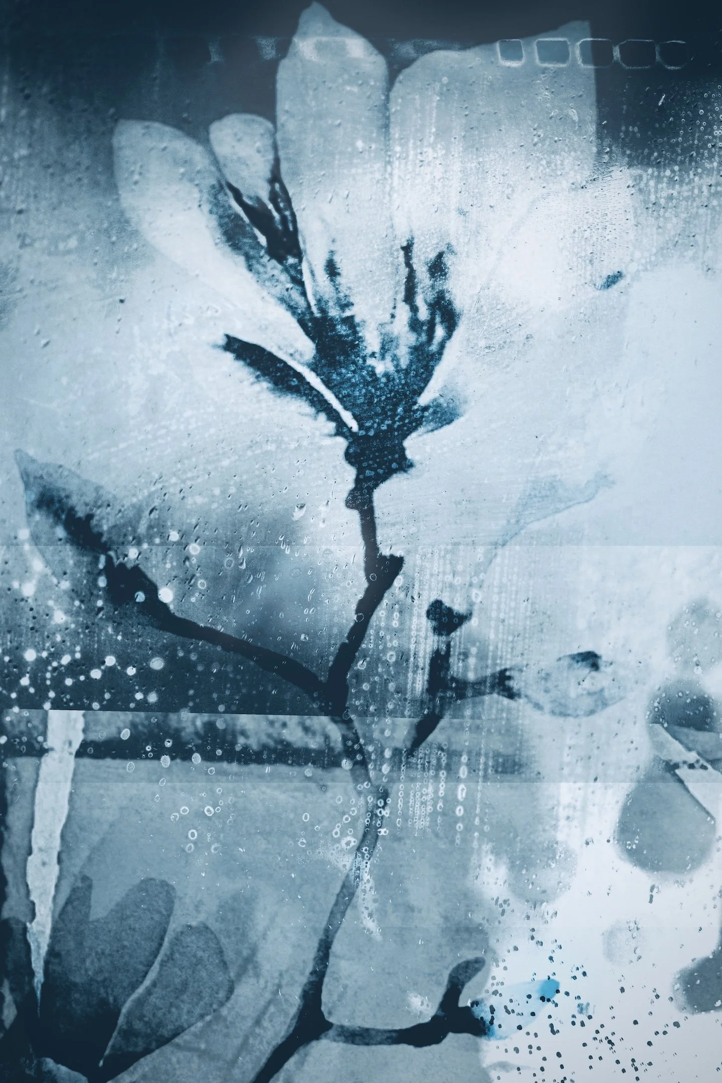 Let's Remember This small.jpeg