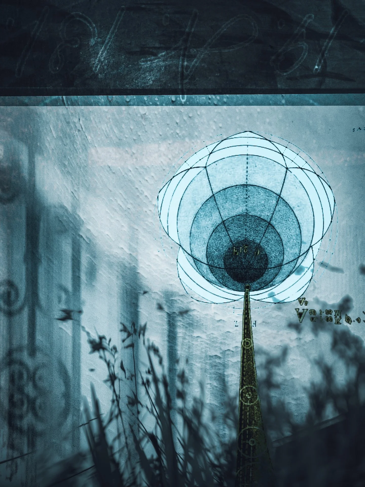 In the Cracks-41 small copy.jpeg