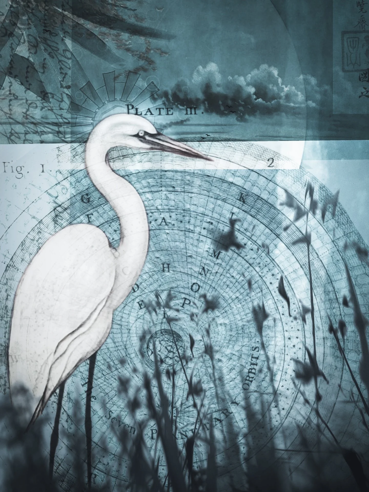 What Will They Make of Me? small.jpeg