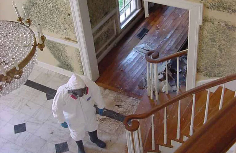 Photo Source: Inspect East - Building Inspections (Melbourne, Australia)