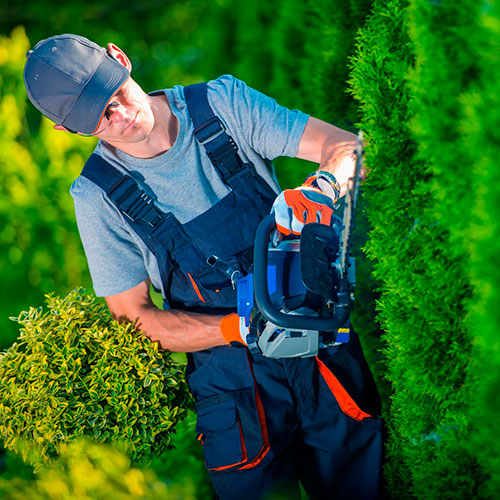 servicios-jardineria-mallorca.jpg