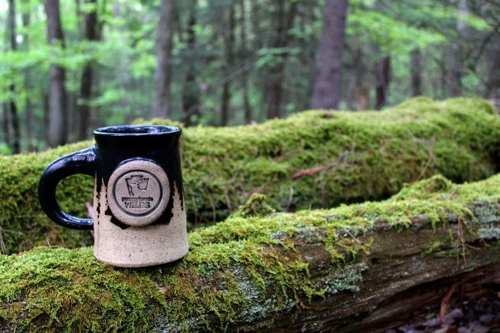 🌲 Happy Mugshot Monday 🌲 

✨ This PA Wilds Mug is now restocked online just in time for Father&rsquo;s Day coming up! ✨ 

@thepawilds #pawilds #pamountains #pennsylvania #fathersdaygiftideas #mugshotmonday