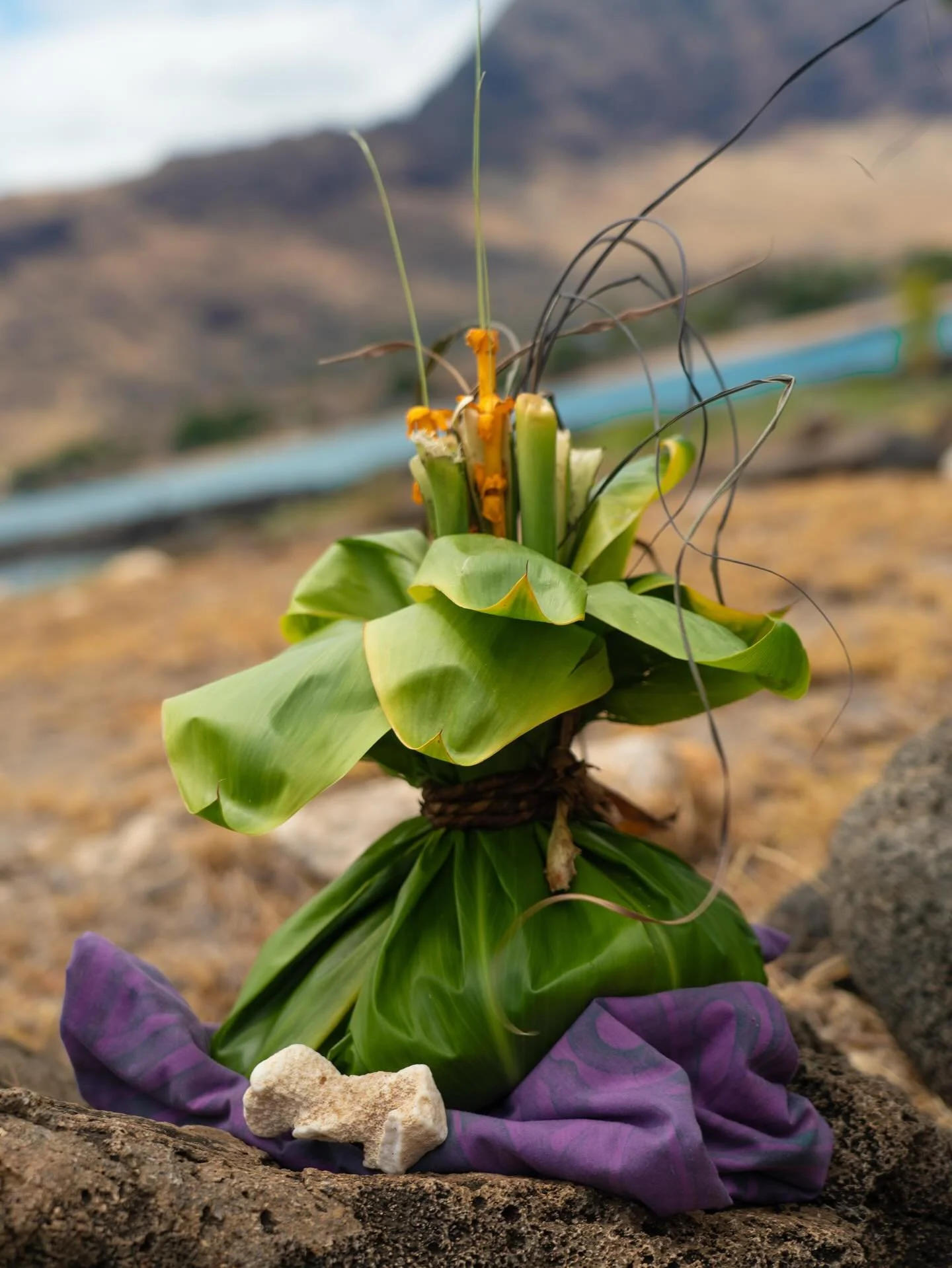 Ho&rsquo;okupu Sagrado 🍃🌺

Giving thanks for a powerful and transformative 5-week tour with our Huni Kuin relatives, traversing the lands of the Ohlone, Southern Pomo, Nisenan, Tongva, Chumash and Kanaka ʻŌiwi.

What a gift it is to fulfill this mi