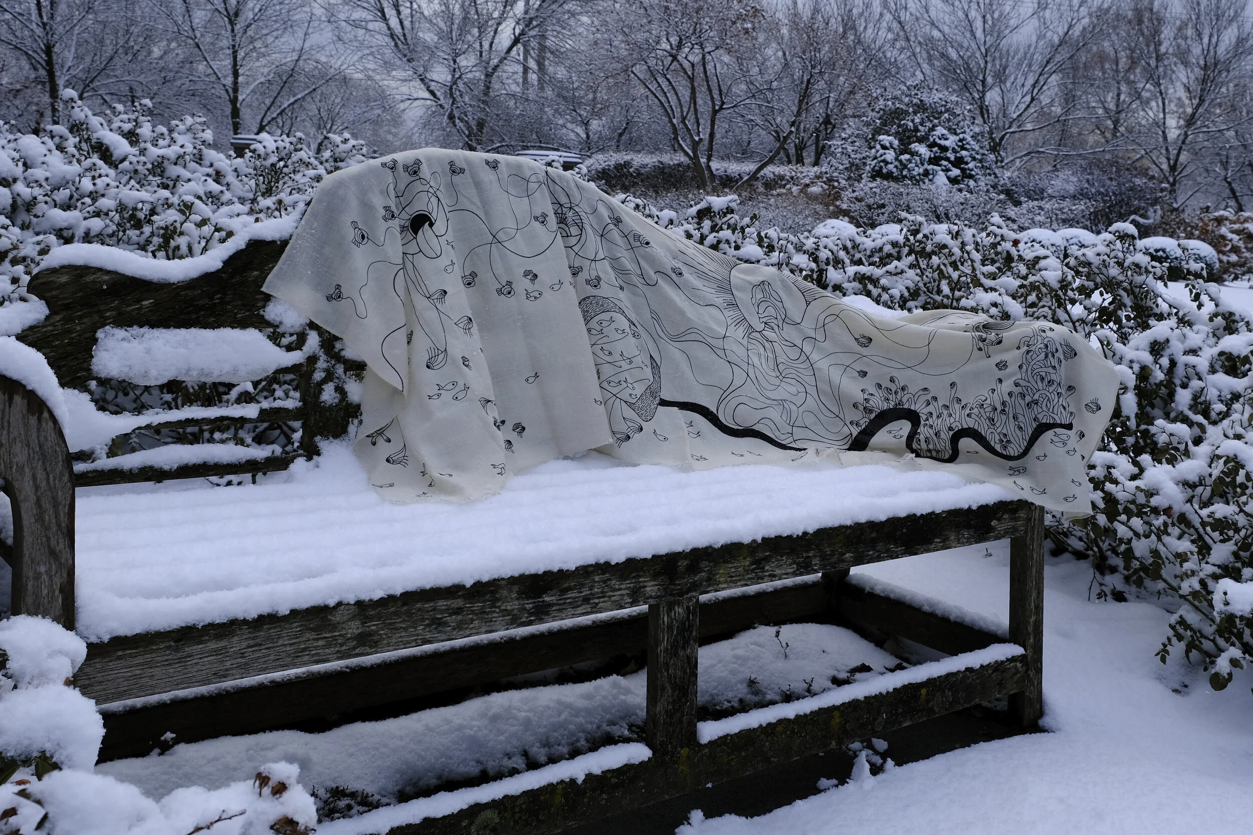 DSCF2293.jpg