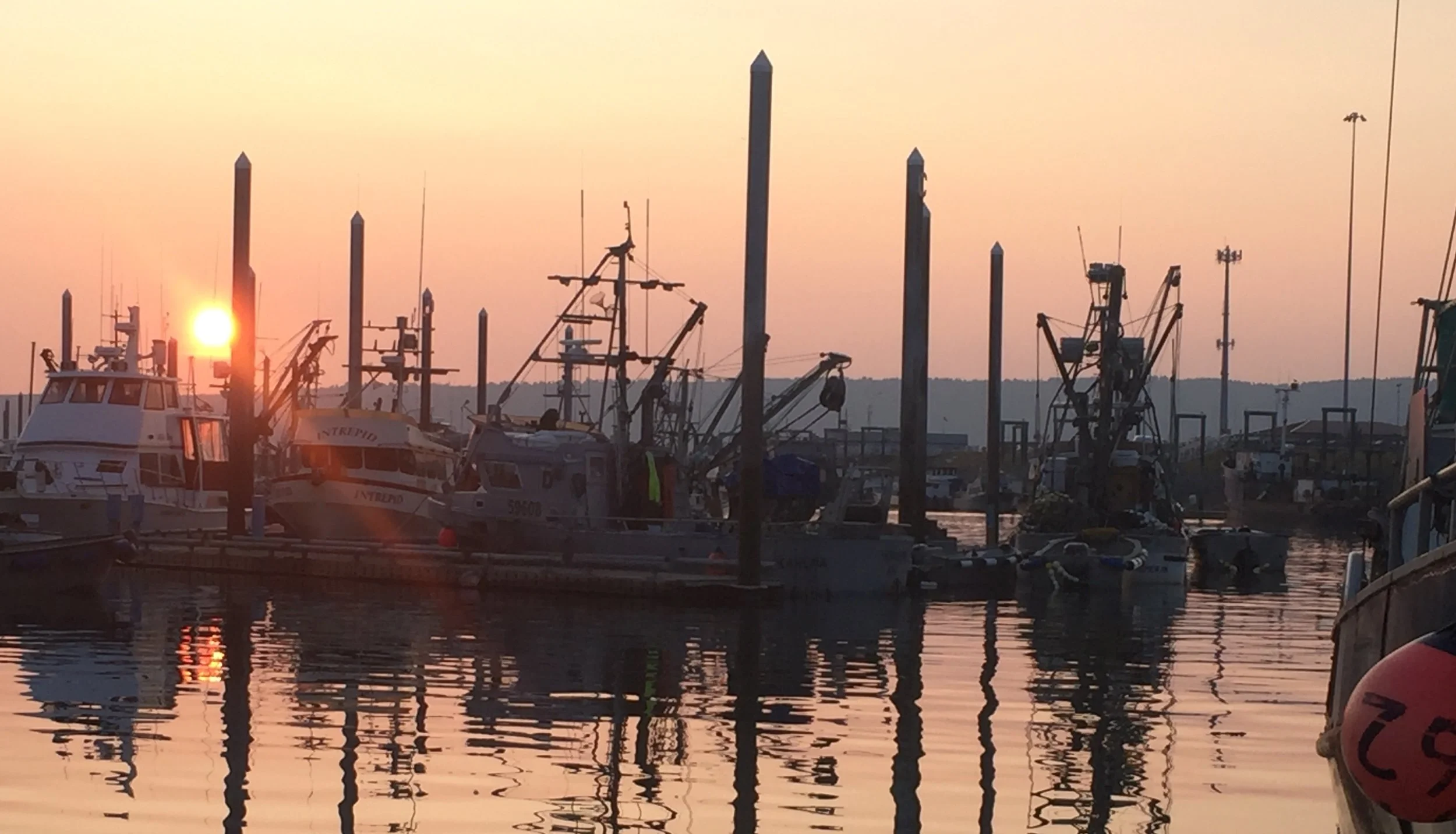 Homer Harbor