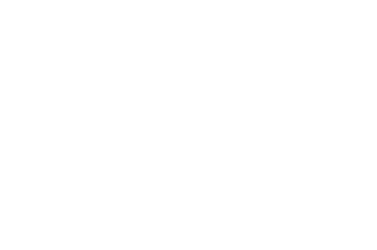 Last+Level+-+white.png