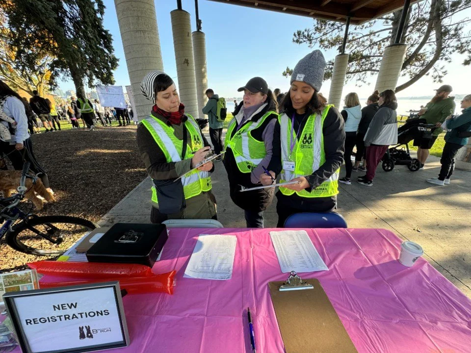 Bridget’s Bunnies nears $100K goal ahead of annual run in Barrie